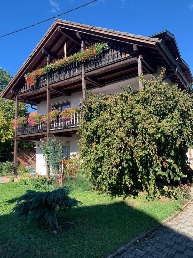Gaestehaus Zum Rhein Райнхаузен Экстерьер фото